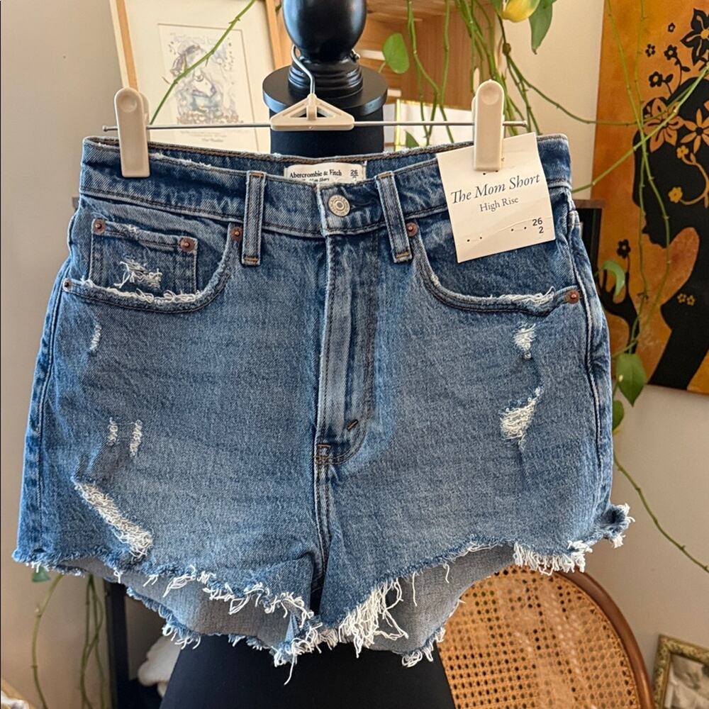 NWT Abercrombie & Fitch Curve Love The Mom High Rise Denim Jean Shorts